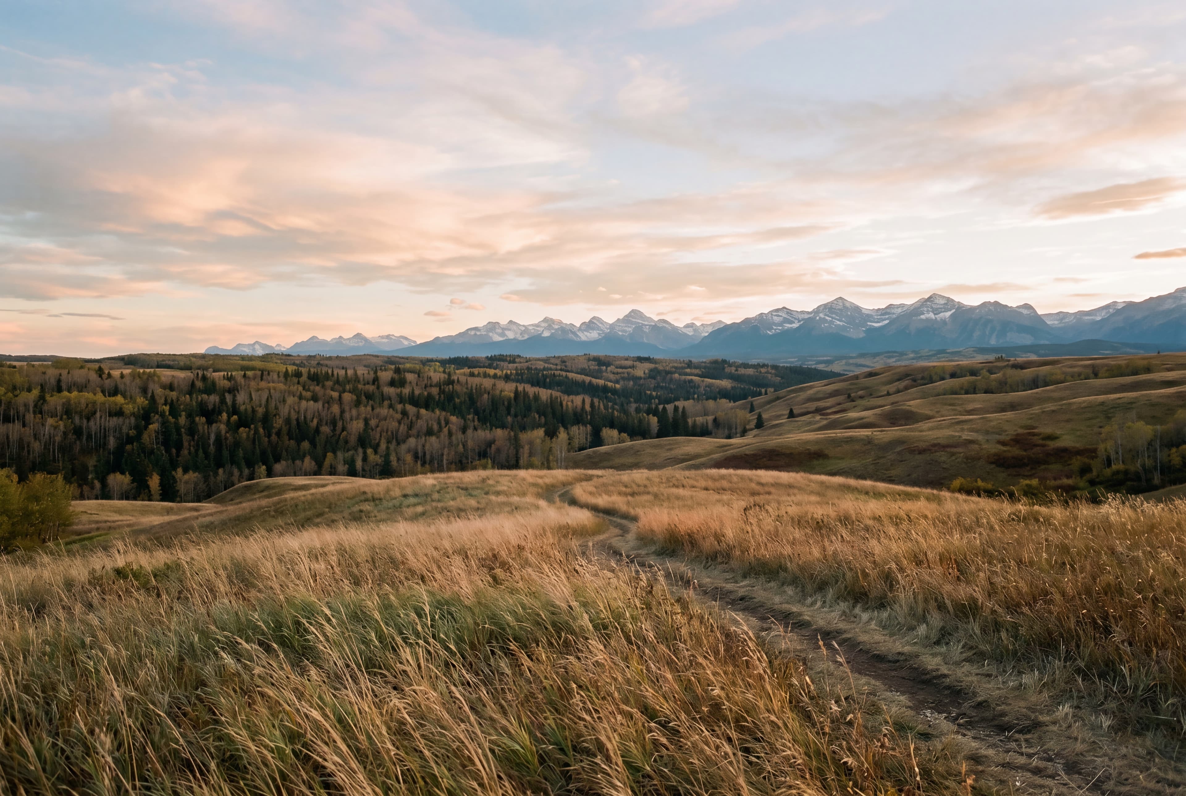 Alberta foothills at golden hour