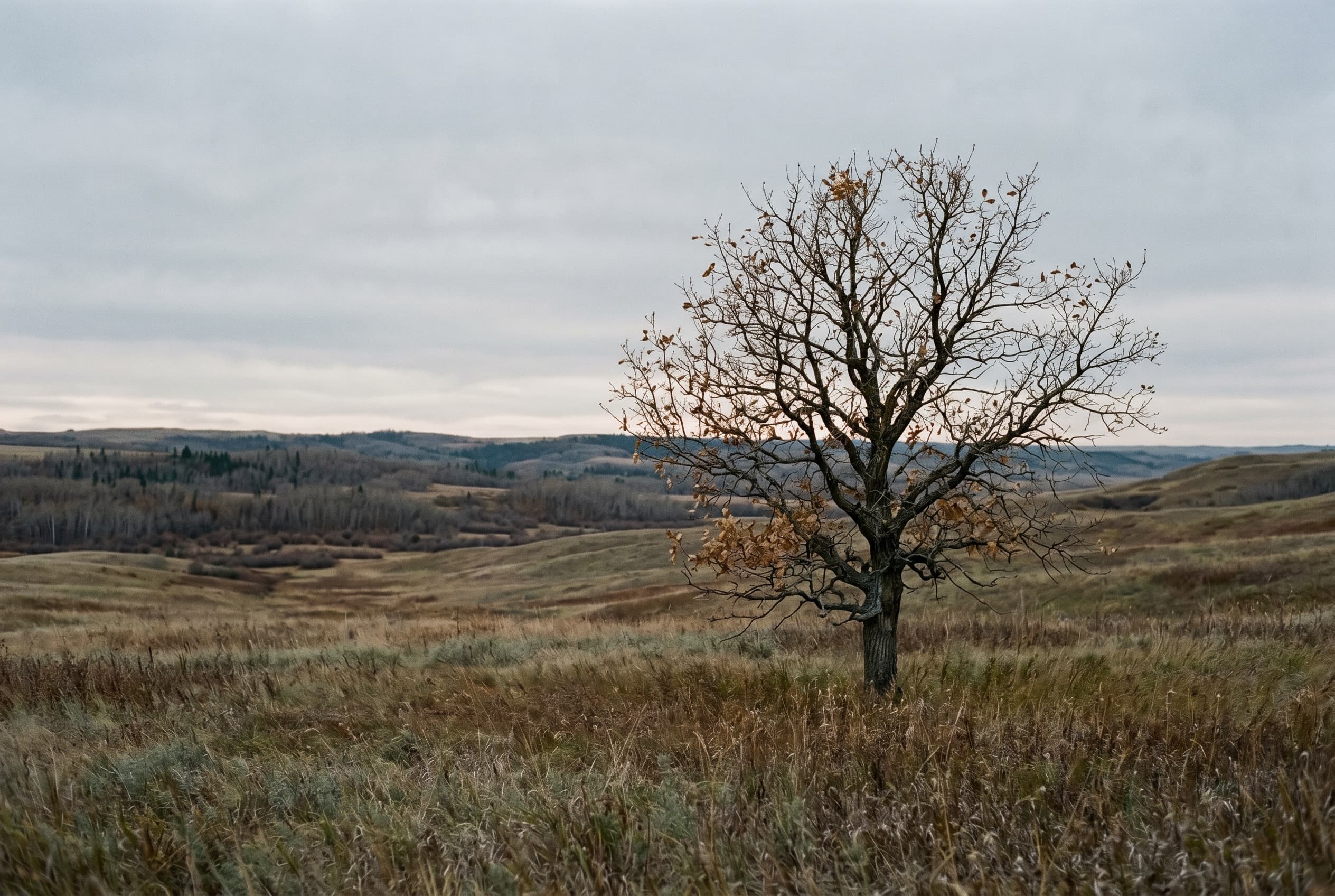 Grief doesn't have stages