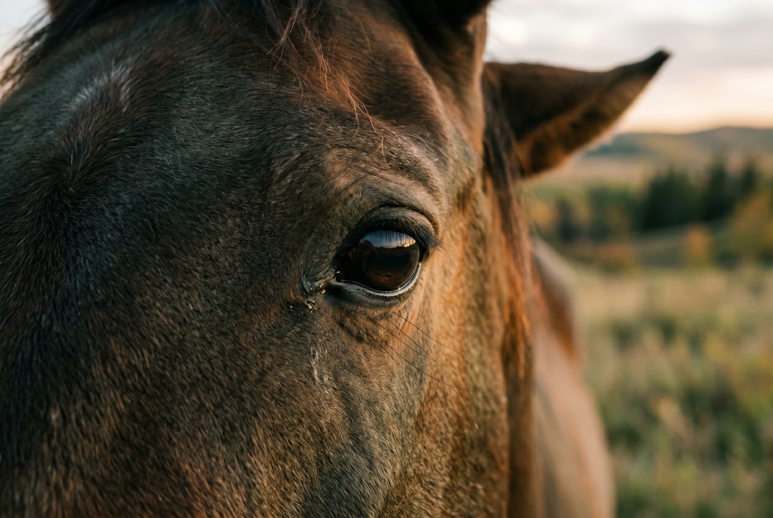 On the difference between regulation and calm